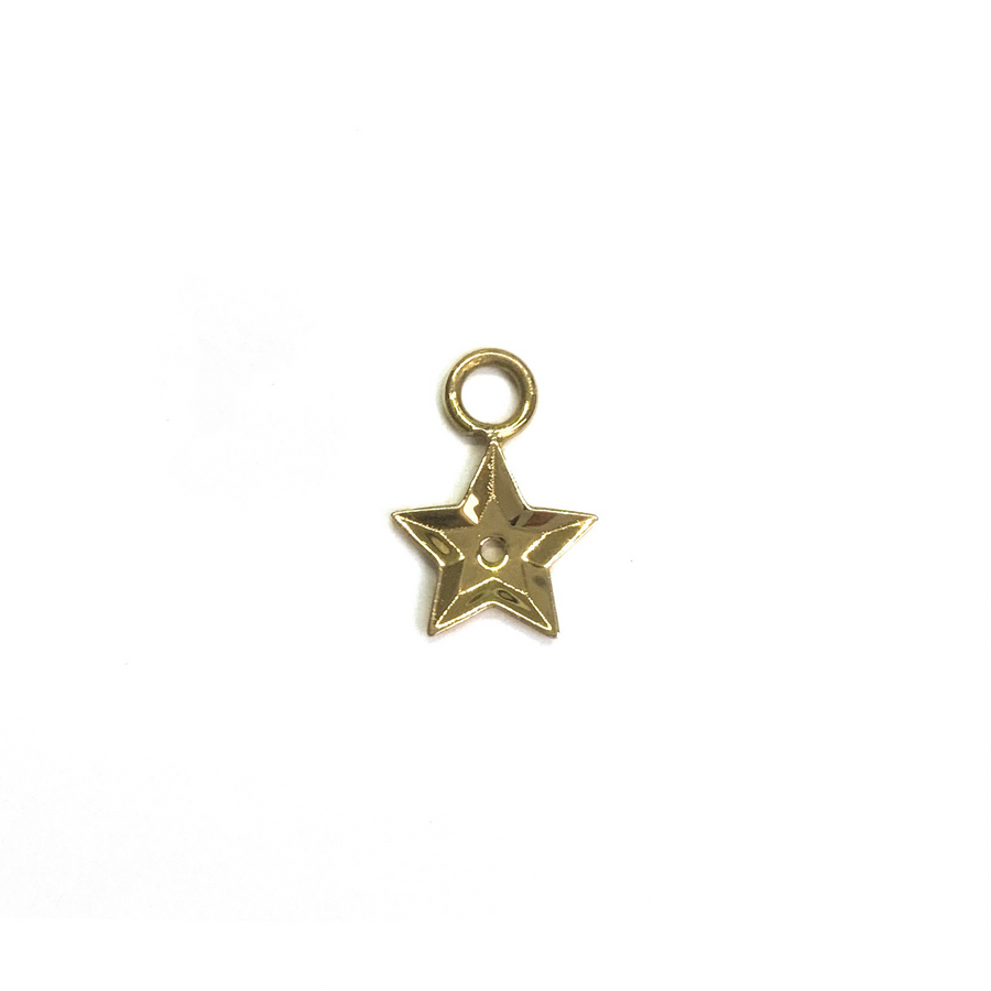 Star Sequin Earring Charm