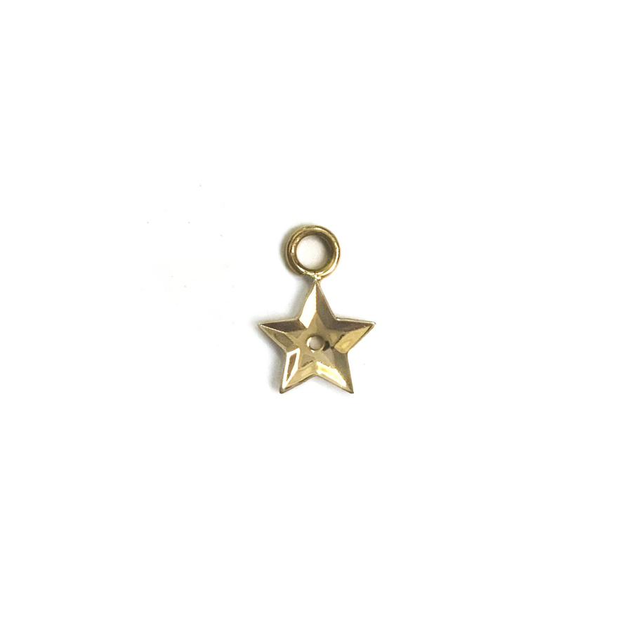 Star Sequin Earring Charm